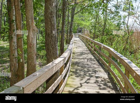 Historic blakeley state park - Blakeley's Apalachee RV Campground features huge, secluded wilderness sites with underground utilities (water, power, sewer). These uniquely designed sites feature pull-through access and are located in a mini-park area offering privacy from other campers and park visitors and are designed to accommodate the largest recreational vehicles. 